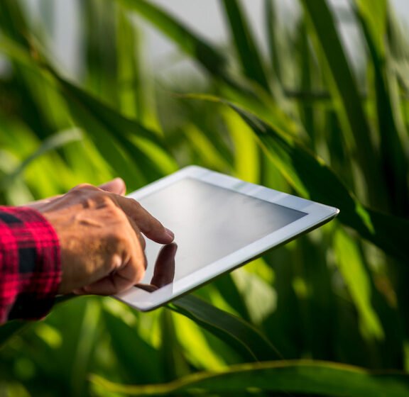 We grow fresh, organic produce using clean methods that protect nature, healthy food.