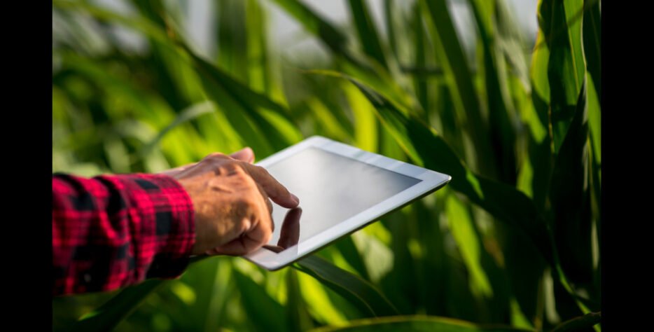 We grow fresh, organic produce using clean methods that protect nature, healthy food.