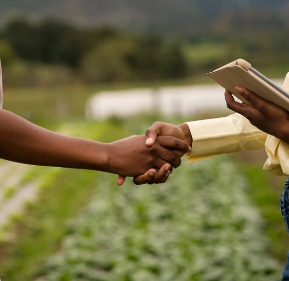 We grow fresh, organic produce using clean methods that protect nature, healthy food.