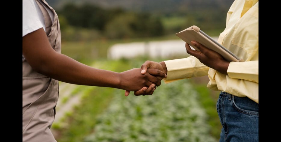 We grow fresh, organic produce using clean methods that protect nature, healthy food.