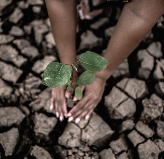 We grow fresh, organic produce using clean methods that protect nature, healthy food.