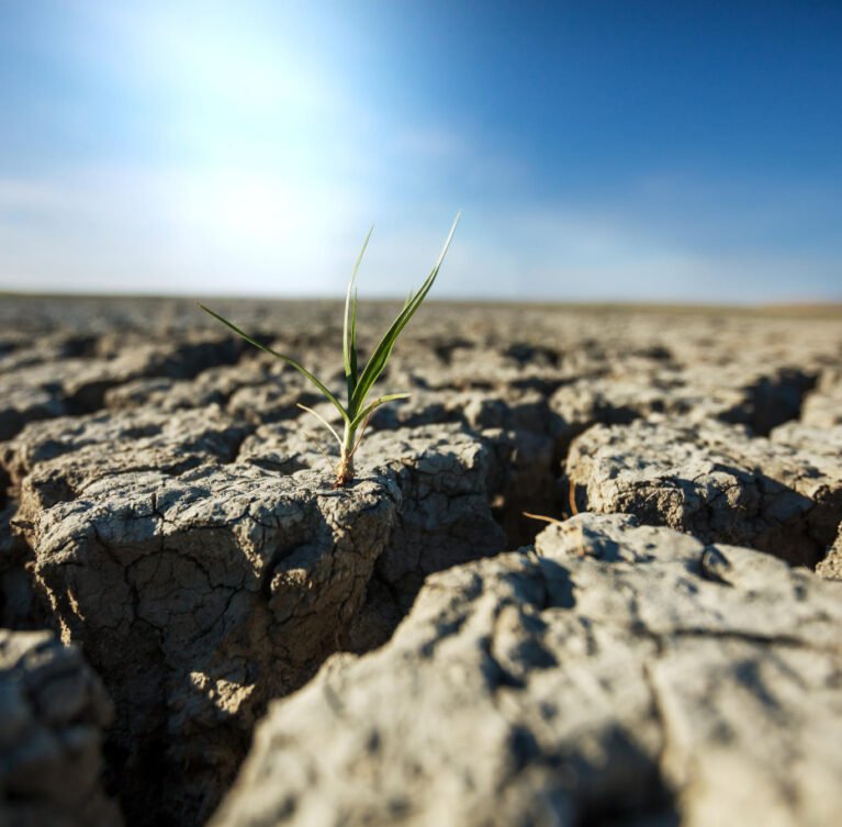 We grow fresh, organic produce using clean methods that protect nature, healthy food.