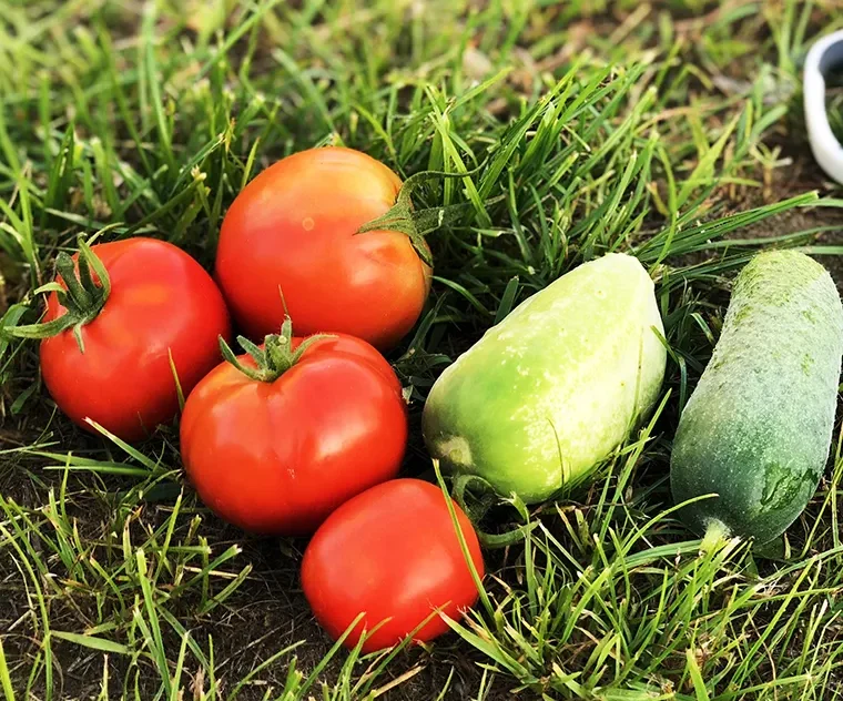 There are many variations of passages of Lorem Ipsum available, but majority have suffered teration in some form, by injected humour, or randomised words which don't look even slight believable. If you are going to use a passage of Lorem Ipsum.